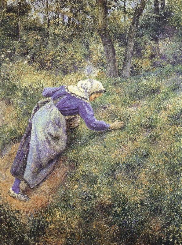 Camille Pissarro Collect grass oil painting picture